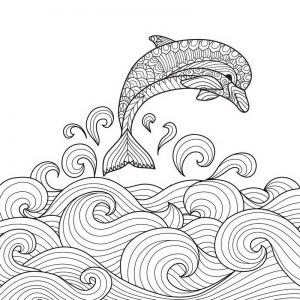 ציור של דולפין לצביעה