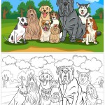כלבים לצביעה – 9 כלבים גזעיים