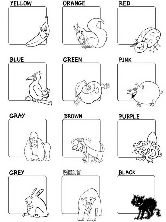 דפי צביעה להורדה בעזרתם ניתן ללמוד צבעים באנגלית בצורה פשוטה ומתאימה לכל גיל.